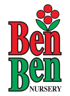 משתלת בן בן