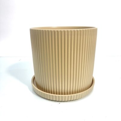 עולם הפרח עציץ