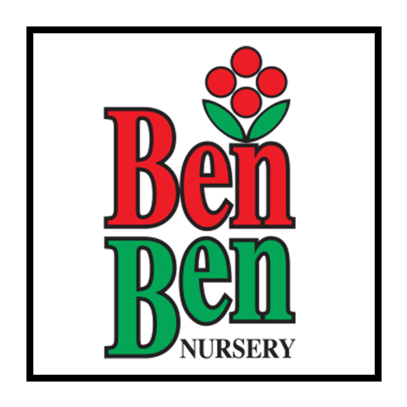 ממתין לתמונת מוצר