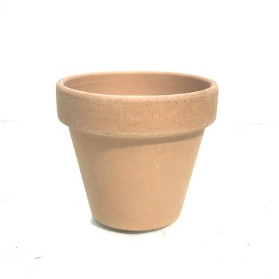 עציץ טרקוטה לבן